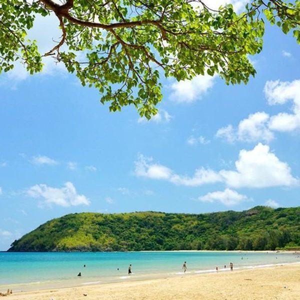 bai-dam-trau-con-dao